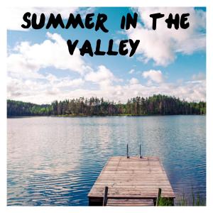 Christie Forde的專輯Summer in the Valley (feat. Christine Corless)