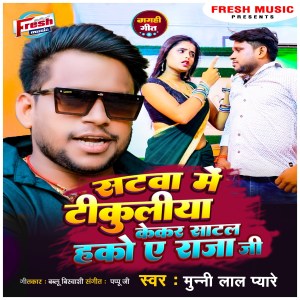Listen to Satwa Me Tikuliya Kekar Satal Hako A Raja Ji song with lyrics from Munnilal Pyare