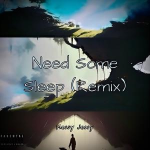 Eels的專輯Need Some Sleep (Explicit)