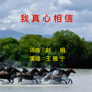 Album 我真心相信 from 赵明