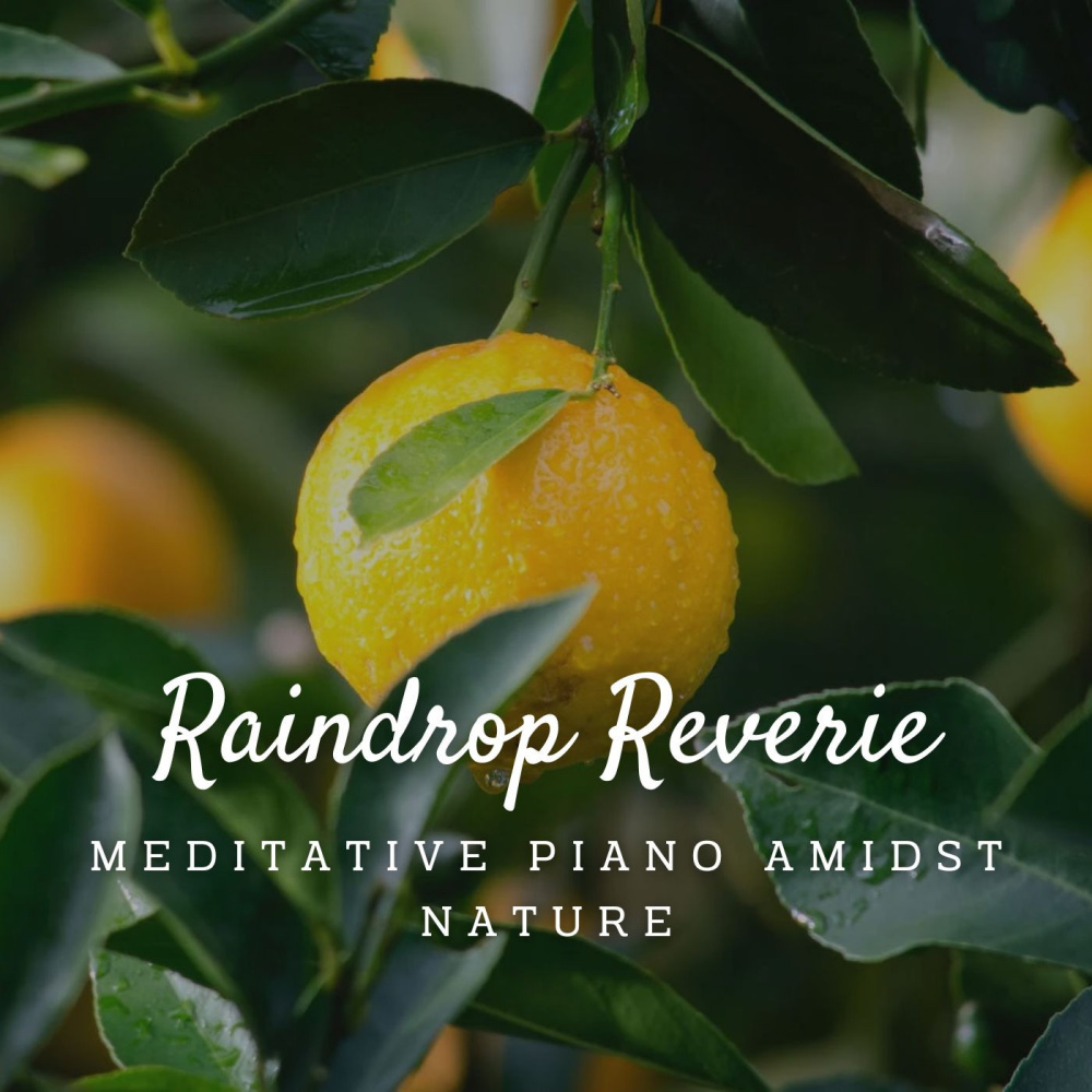 Enchanted Piano Raindrops