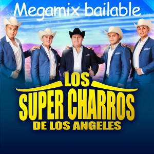 收聽Los Súper Charros de los Ángeles的Megamix Bailable: Que Critiquen / Adiós Corazón / La Burra Tuerta / El Niño y la Boda / Enamorado de Mi Suegra / Sopa de Caracol / María Tete / Vagabundo歌詞歌曲