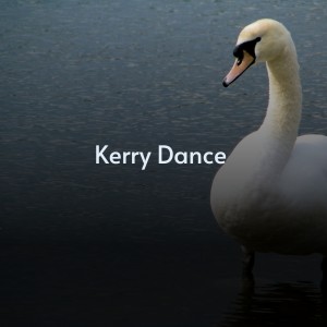 อัลบัม Kerry Dance ศิลปิน Various Artists