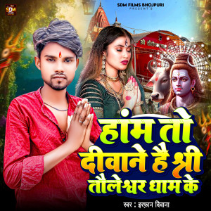 Album Ham To Diwane Hai Shree Tauleswar Dham Ke from Irfan Deewana