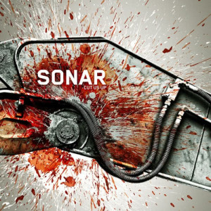 ดาวน์โหลดและฟังเพลง Never Too Late พร้อมเนื้อเพลงจาก Sonar