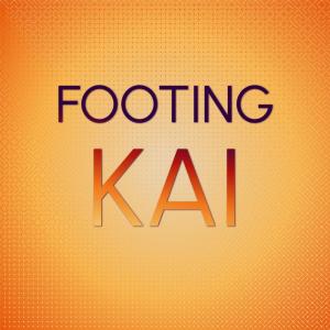 Various Artists的專輯Footing Kai