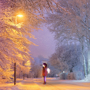 ดาวน์โหลดและฟังเพลง snowfall พร้อมเนื้อเพลงจาก howling loon