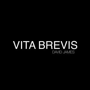 David James的專輯VITA BREVIS (Explicit)