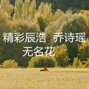 Album 无名花 from 精彩辰浩
