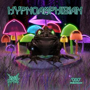收聽BassFace的HYPNOAMPHIBIAN歌詞歌曲