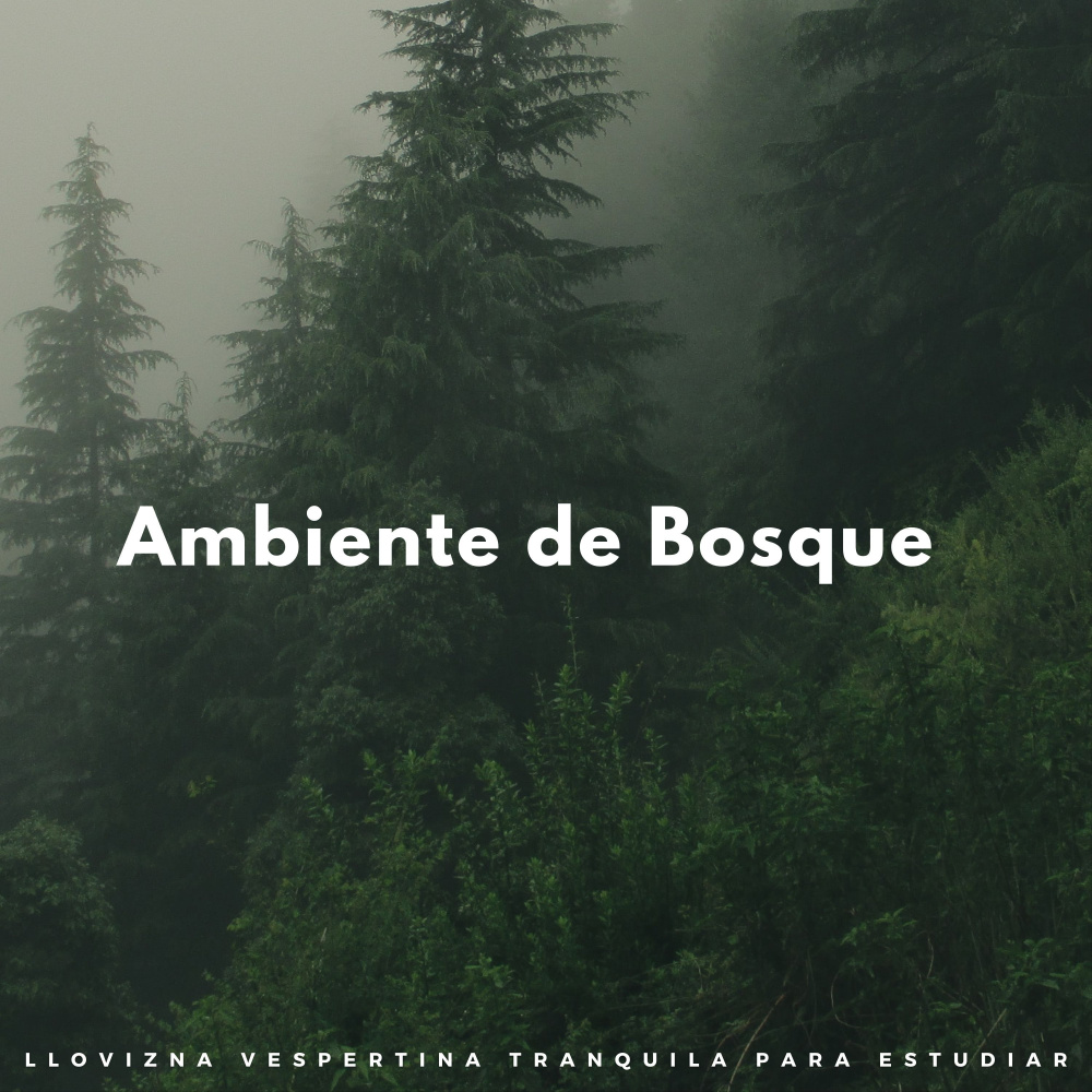 Lluvia Y Viento Perfectos
