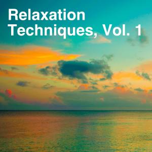 Various Artists的專輯Relaxation Techniques, Vol. 1