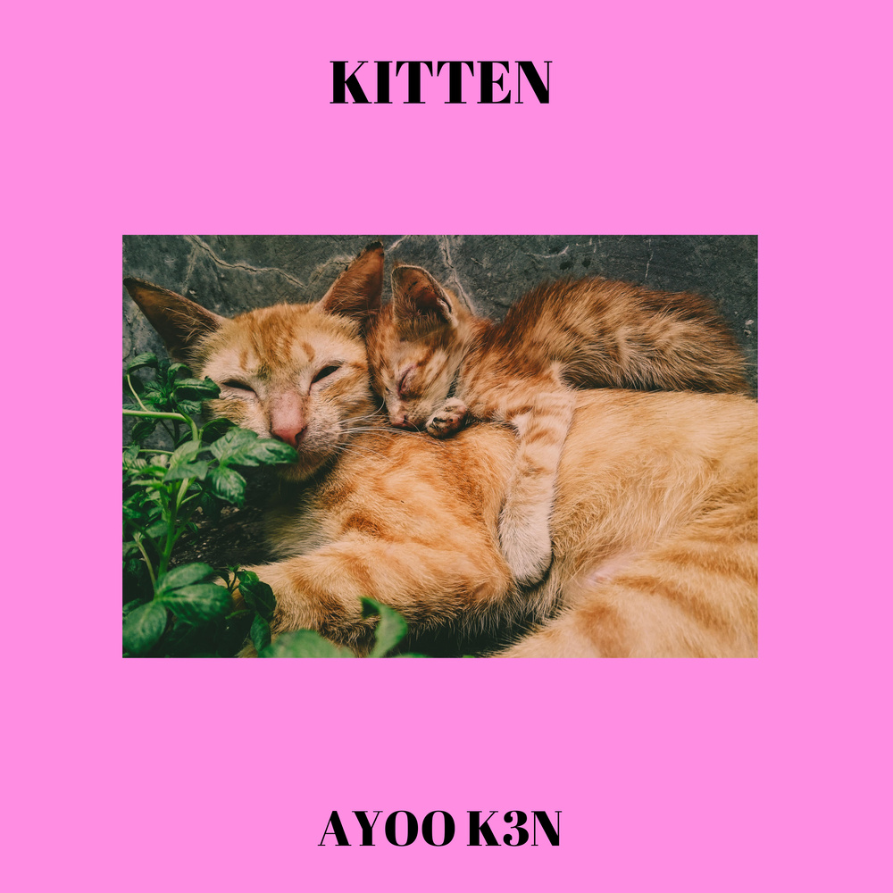 Kitten (Explicit)