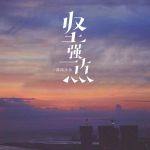 Album 坚强一点 from 邵伟少尉