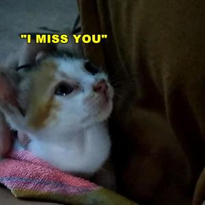 ดาวน์โหลดและฟังเพลง Melodia Quebrada พร้อมเนื้อเพลงจาก 4LEX