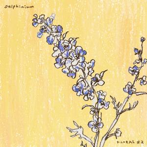 이준형的專輯Delphinium