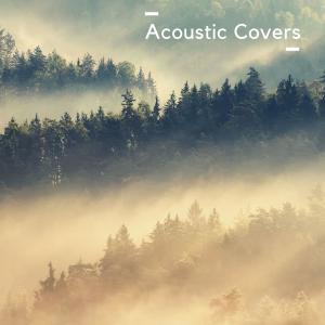 Various的专辑Acoustic Covers