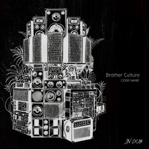 Listen to Heal Them (Dub) song with lyrics from Brother Culture