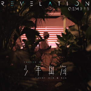 收聽G.E.M. 鄧紫棋的少年與海歌詞歌曲