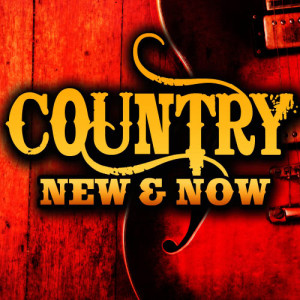 收聽Top Chart Country All-Stars的Country Strong歌詞歌曲