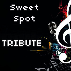 ดาวน์โหลดและฟังเพลง Sweet Spot พร้อมเนื้อเพลงจาก Flo Rida Tribute Team