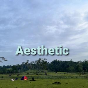 Aesthetic (Remix) dari XIANZ
