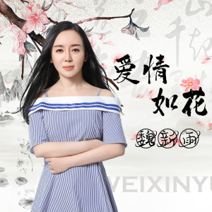 收聽魏新雨的愛情如花 (伴奏)歌詞歌曲
