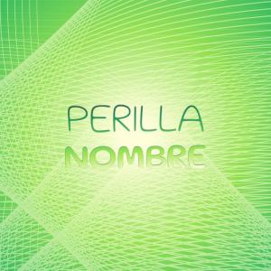 Dengarkan Optimum Pie lagu dari Brel Rhal dengan lirik