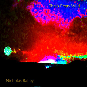 Nicholas Bailey的专辑That's Pretty Wild