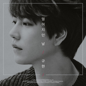 Listen to The Day We Felt The Distance song with lyrics from KYUHYUN