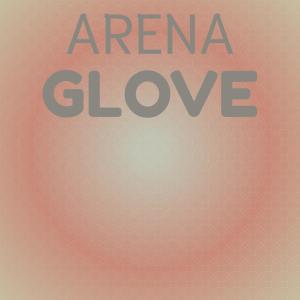 Album Arena Glove from Various Artists