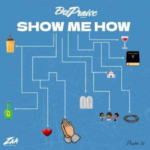 ZAA_MUSIC的專輯Show Me How