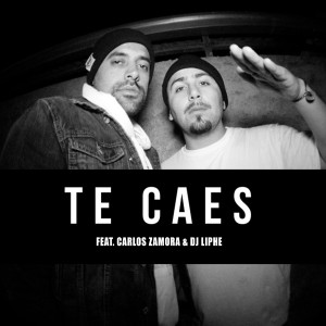Album Te Caes oleh Flowhuana