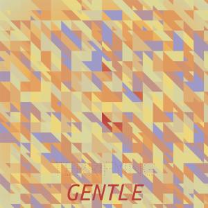 Album Terrifying Gentle oleh Various