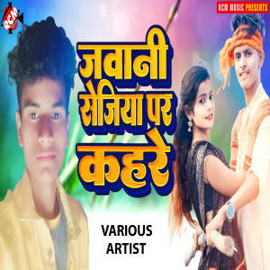 Album Jawani Sejiya Par Kahare from Various Artists