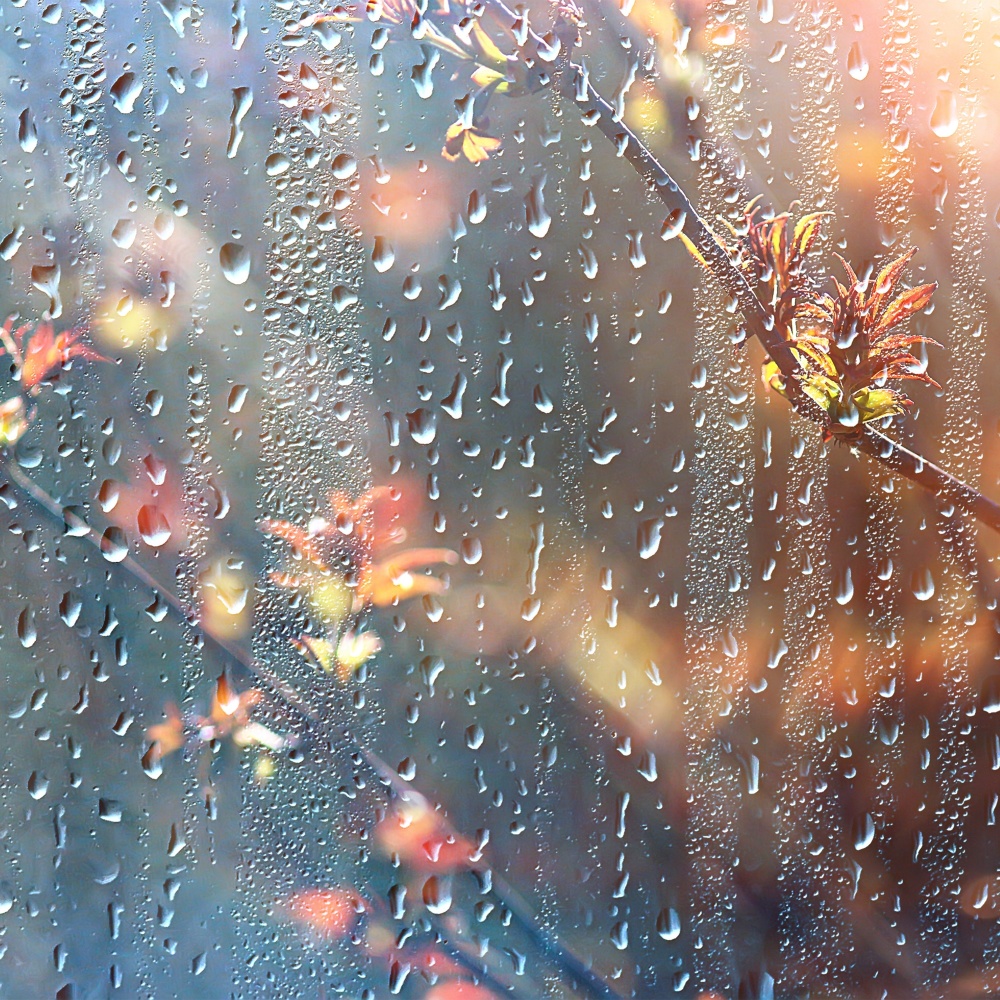 Dormir Tranquilamente con Lluvia Relajante, Pt. 21