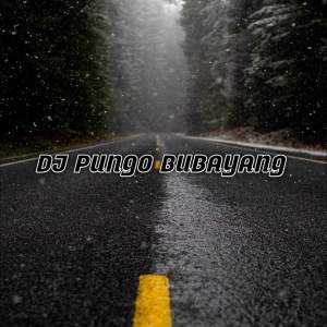 Listen to Dj Pungo Bubayang 2023 (Remix Aceh, Lagu Aceh Remix Viral) song with lyrics from Dj Campur