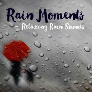 收聽Rain Moments的Beautiful Rain歌詞歌曲
