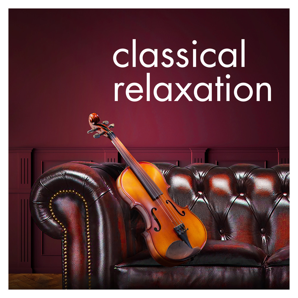 Canon & Gigue In D Major : Cannon in D Major