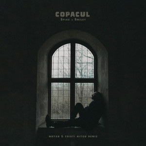 Album Copacul (Motzu & Cristi Nitzu Remix) from Spike