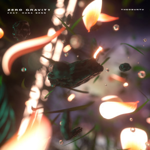 Album Zero Gravity from Theobuntu