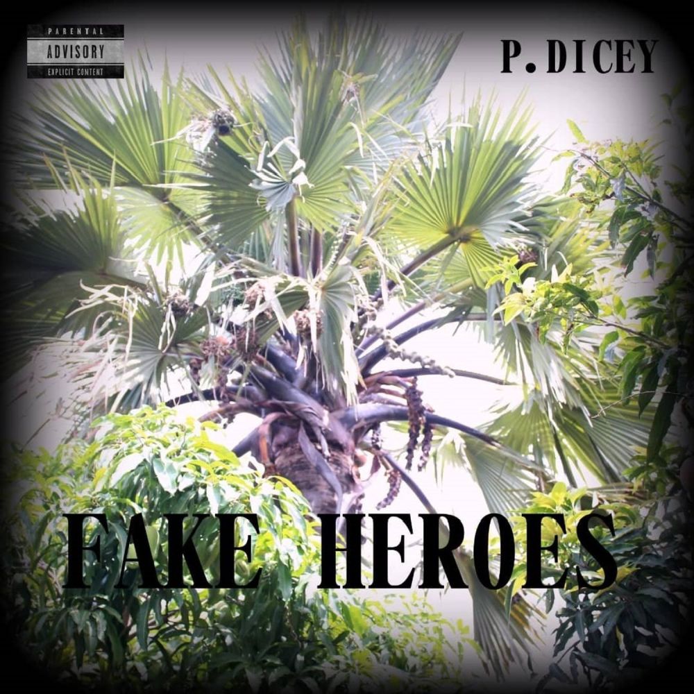 Fake Heroes