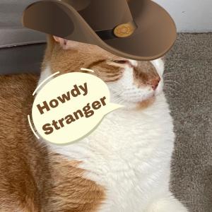 ดาวน์โหลดและฟังเพลง Stranger พร้อมเนื้อเพลงจาก Kymori