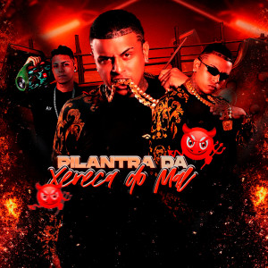 收聽Eo Cifrão的Pilantra da Xereca do Mal (Explicit)歌詞歌曲