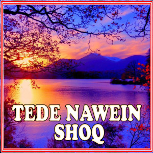 收聽Madni Bhutta的Tede Nawein Shoq Hin歌詞歌曲