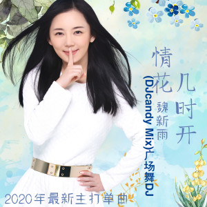 Dengarkan 情花几时开(DJcandy Mix)广场舞DJ (伴奏|DJcandy Mix|广场舞DJ) lagu dari 魏新雨 dengan lirik