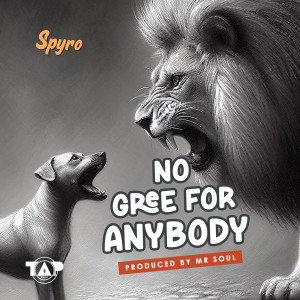 Spyro的專輯No Gree For Anybody (NGFA)
