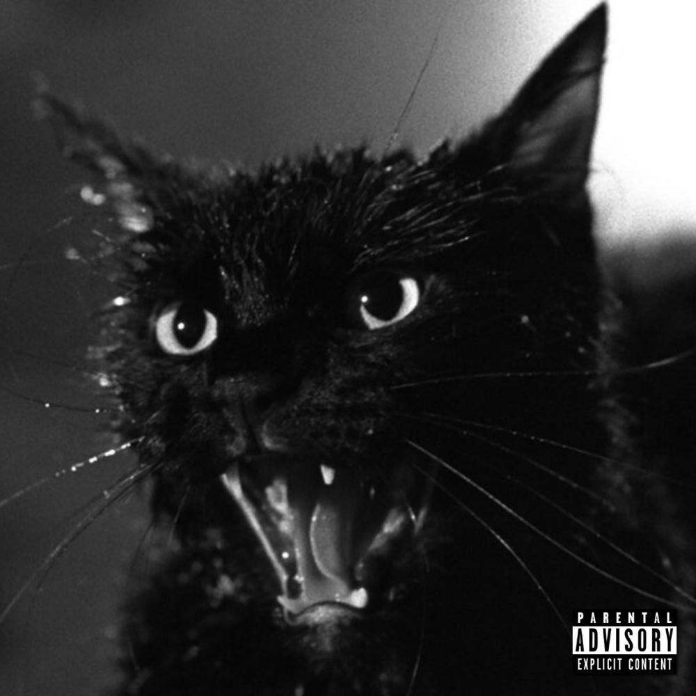 Hell Cat (feat. Andrew Kelly) (Explicit)