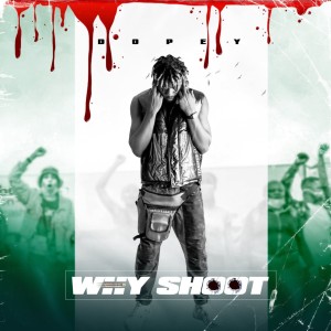 Album Why Shoot (Explicit) from 