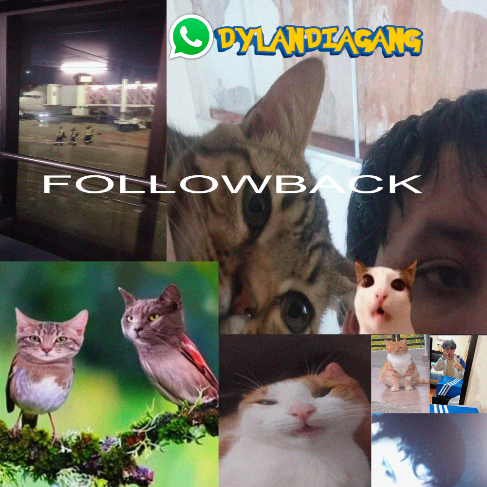 Followback (Explicit)
